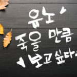 『ぐん活のすすめ』韓国語を習う。その6 いばらの道を進む