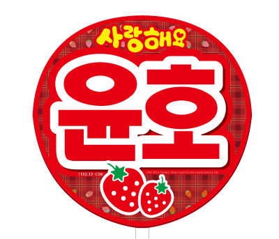 東方神起うちわXVコン