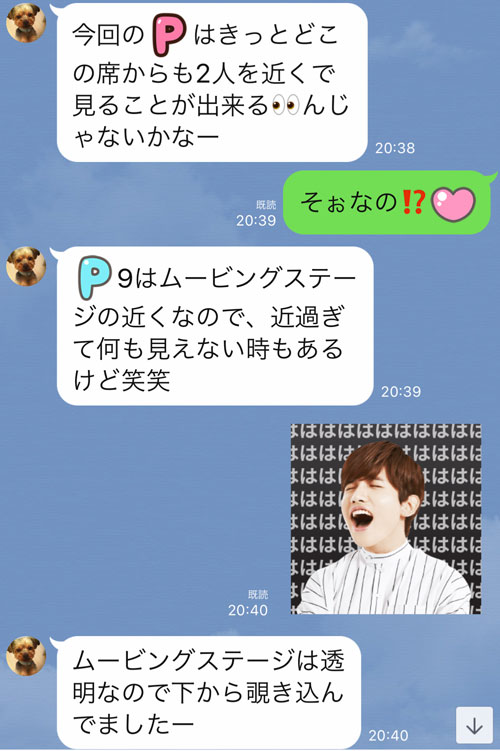 XVコンP席東京ドーム