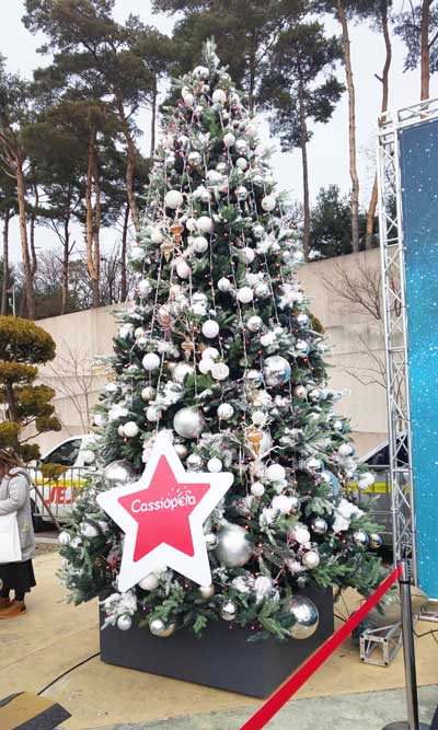 東方神起ペンミ2019