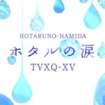 東方神起ホタルの涙