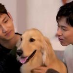 東方神起とワンコたち