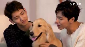 東方神起とワンコたち