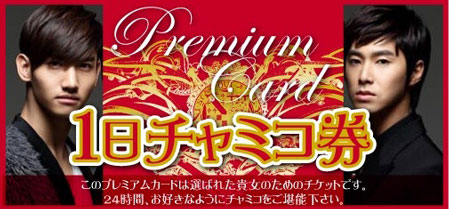 一日チャンミン券