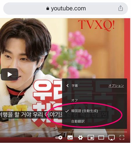 スマホ版 Youtubeを日本語字幕で見る 字幕視聴方法 ハングル 時々 トン活